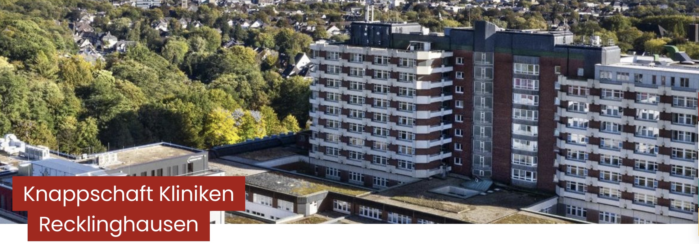 Plötzlicher Herztod – Erkennen, Verstehen, Handeln